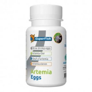 Artemia egg 50g / 95% klekking